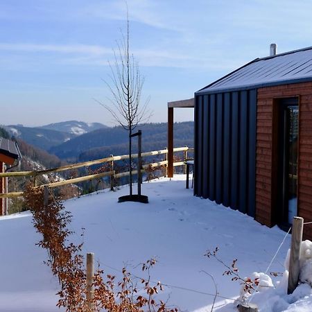 Uplandparcs Winterberg Villa ภายนอก รูปภาพ