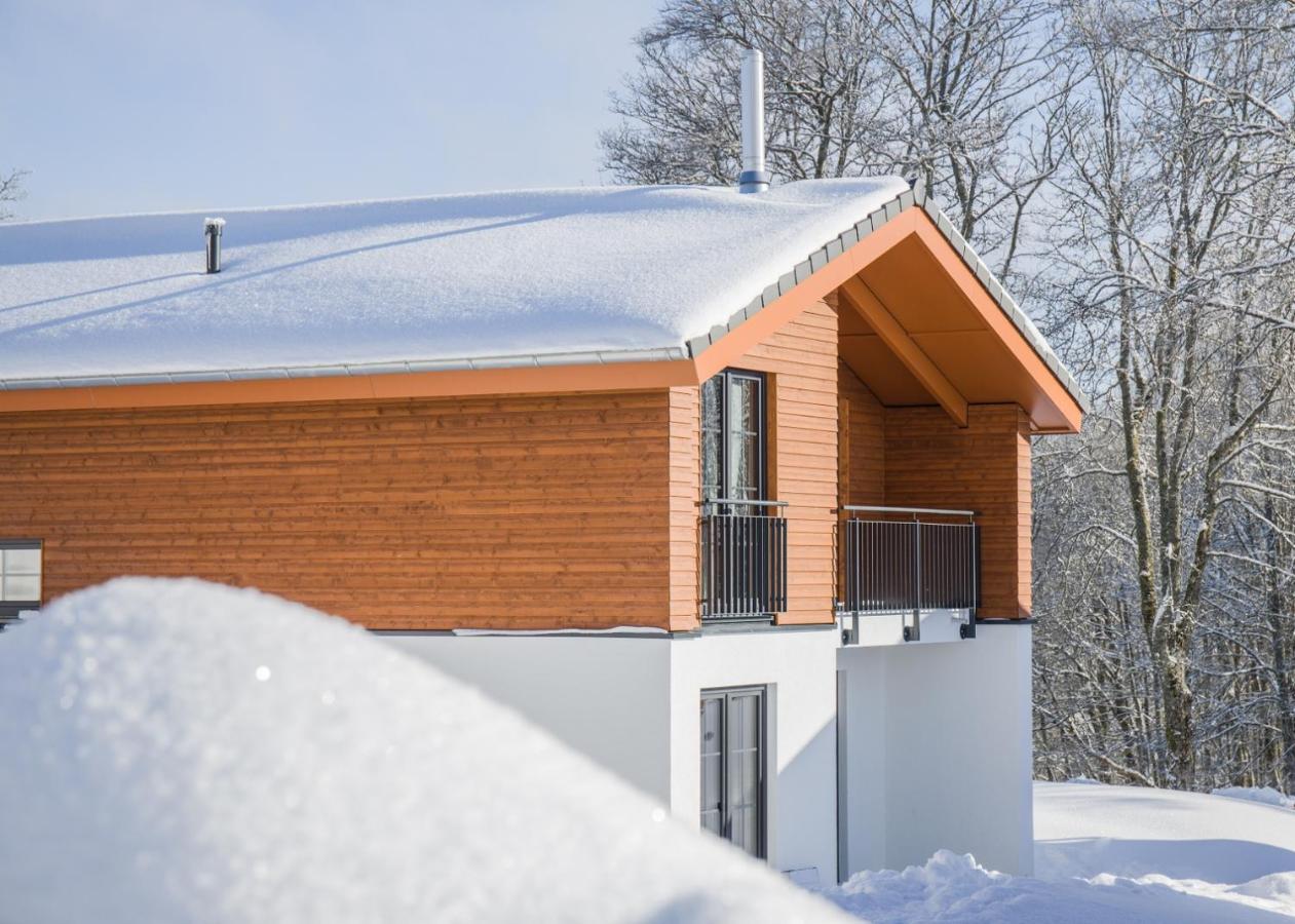 Uplandparcs Winterberg Villa ภายนอก รูปภาพ